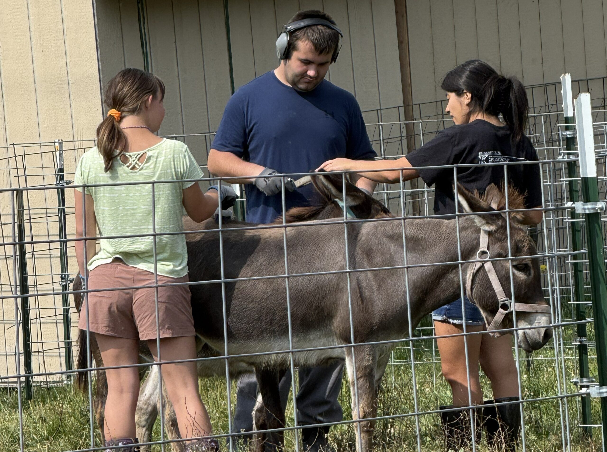 AACORN participants and staff standing with Dorothy and Delores, the farm's two donkeys.