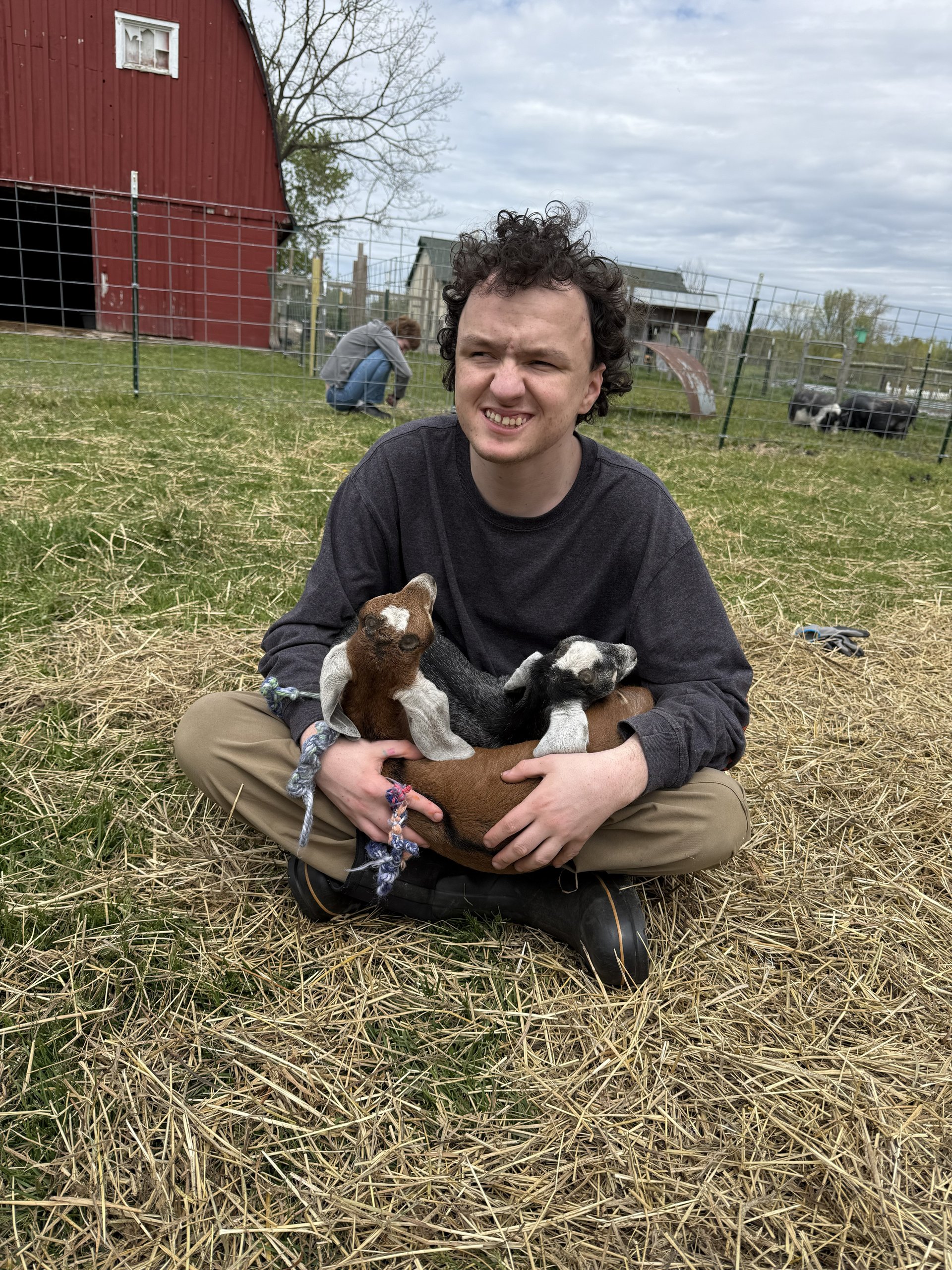 Animal companionship