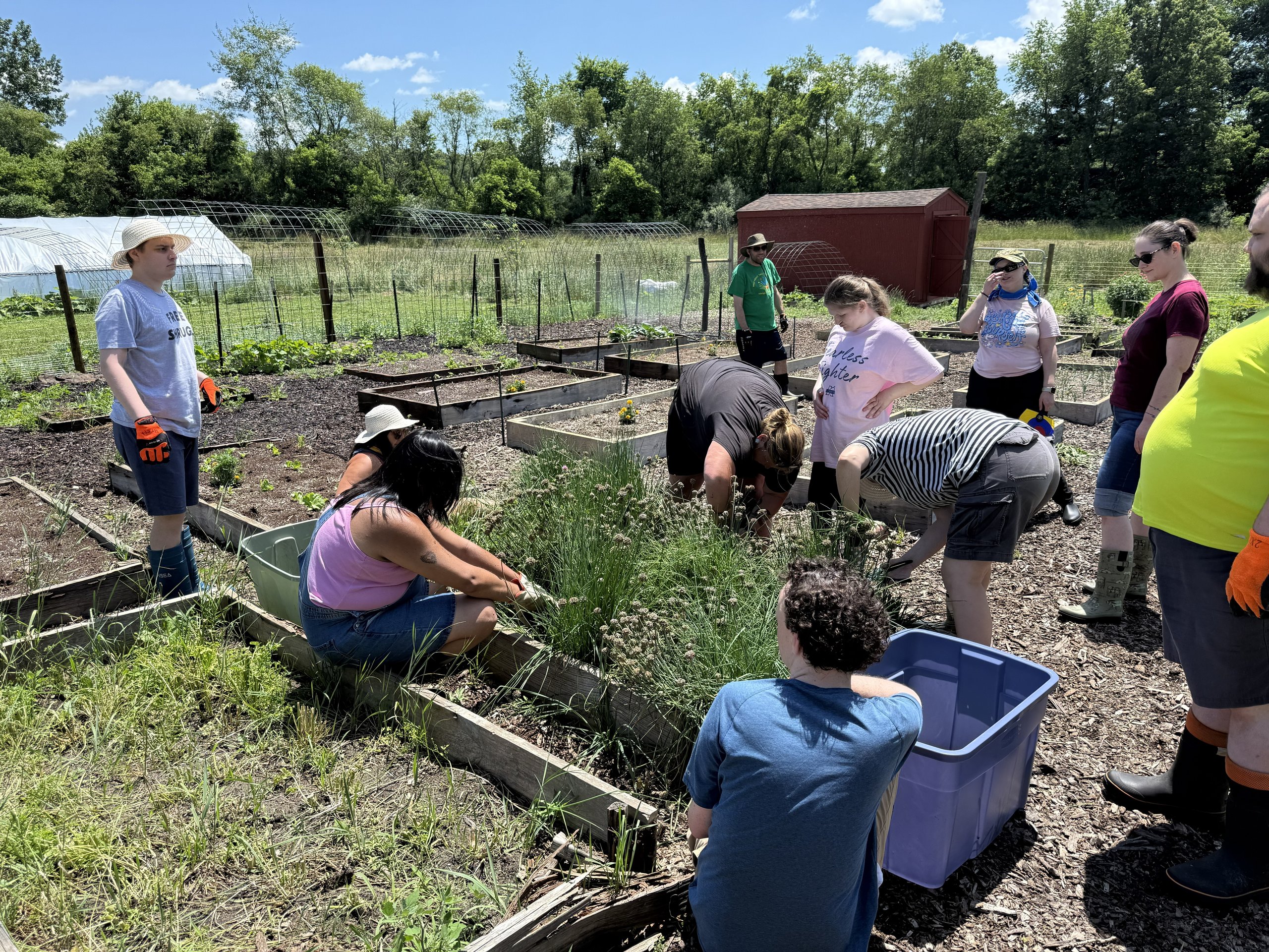 Participants and staff working in the garden.
