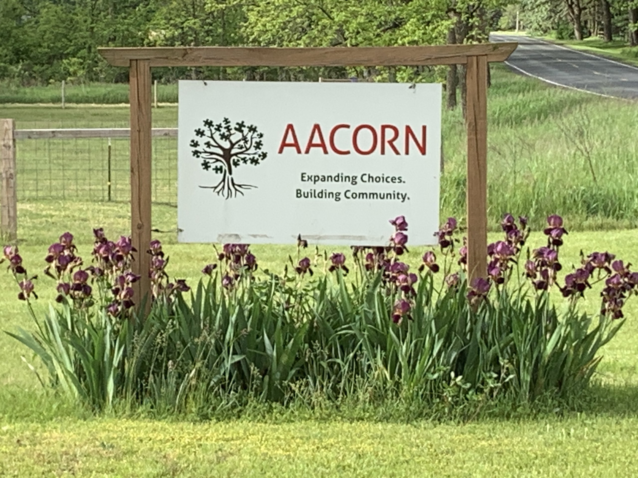 AACORN roadside sign with iris blooming around it.